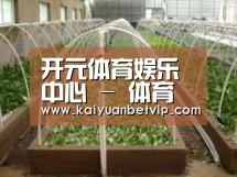 环境展示五