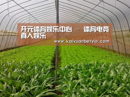 种植基地四