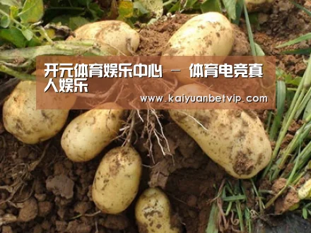种植基地六