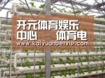 环境展示六