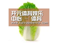 产品名称一(图1)