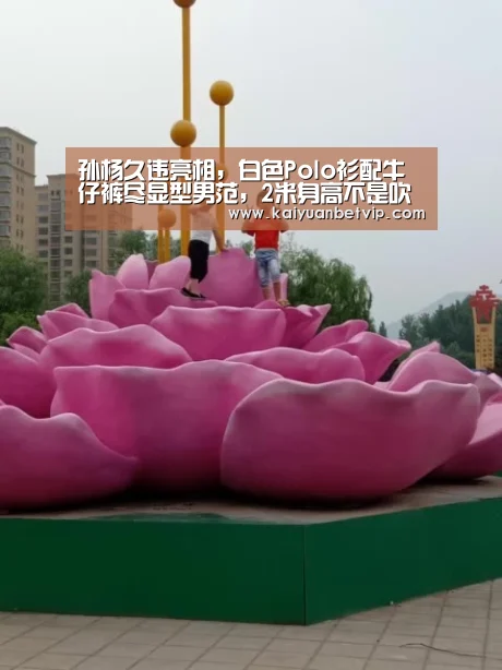 孙杨久违亮相,白色Polo衫配牛仔裤尽显型男范,2米身高不是吹的“开元娱乐”(图1) 开元娱乐