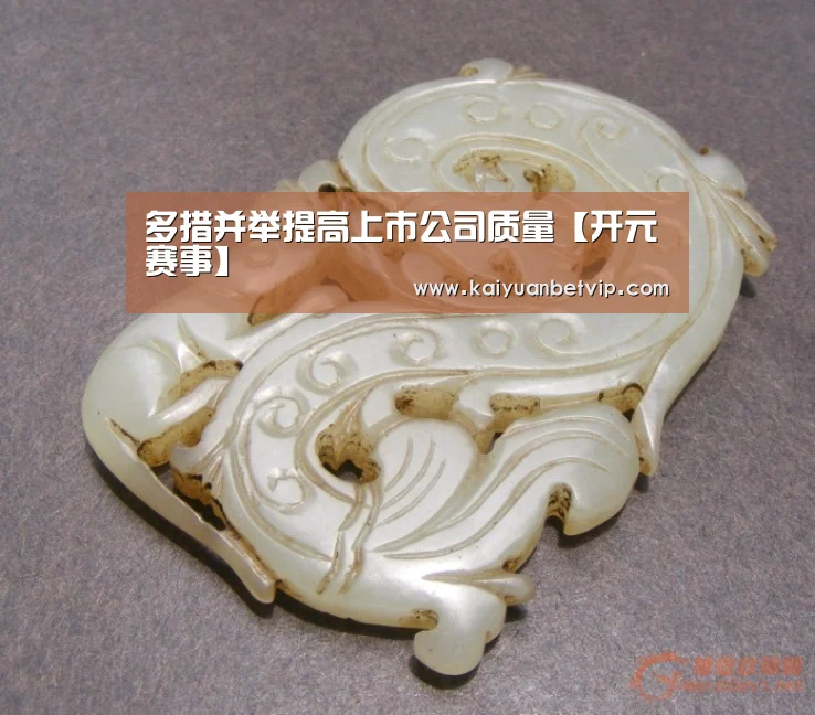 多措并举提高上市公司质量【开元赛事】(图1) 开元赛事