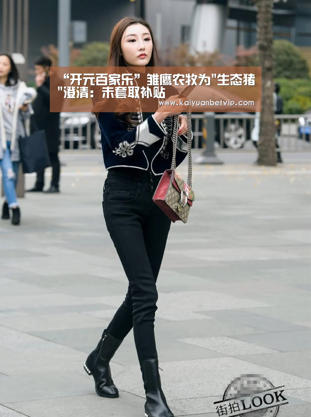 开元百家乐