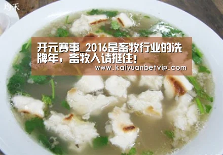 开元娱乐