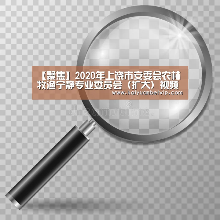 【聚焦】2020年上饶市安委会农林牧渔宁静专业委员会(扩大)视频集会召开‘开元百家乐’(图2) 开元赛事
