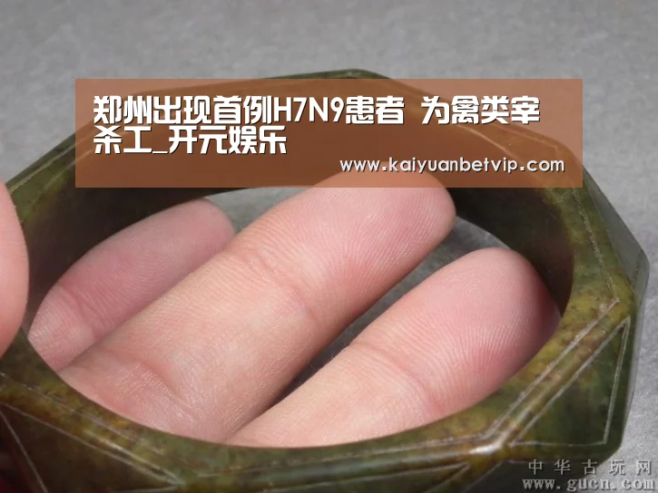 郑州出现首例H7N9患者 为禽类宰杀工_开元娱乐(图2) 开元赛事