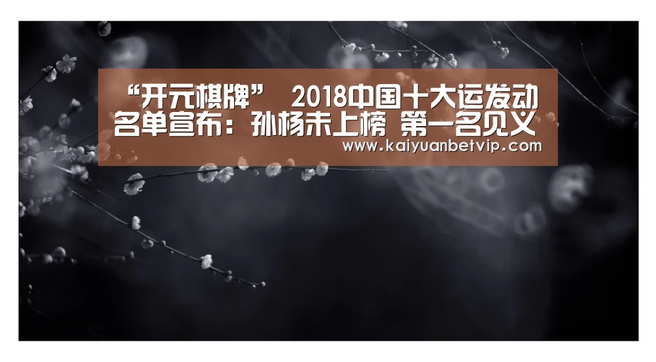 “开元棋牌”
2018中国十大运发动名单宣布:孙杨未上榜 第一名见义勇为!(图2) 开元棋牌
