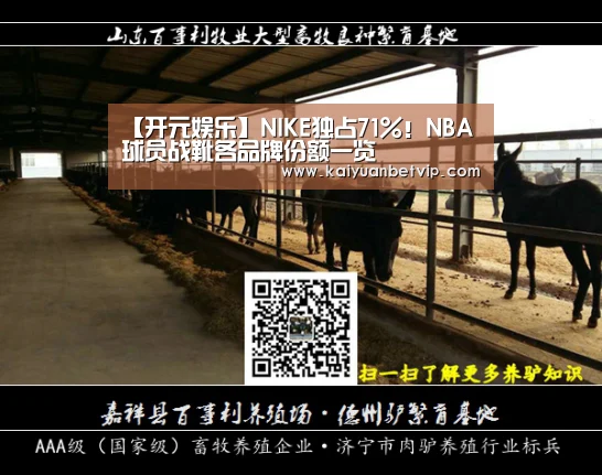 【开元娱乐】NIKE独占71%!NBA球员战靴各品牌份额一览(图2) 开元娱乐