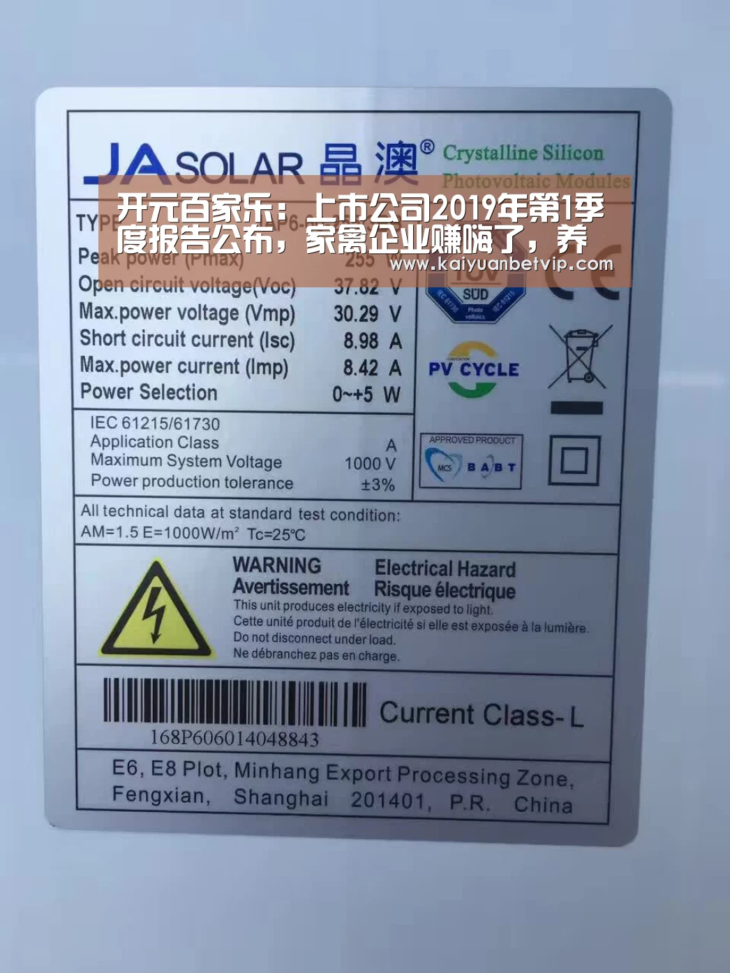 开元赛事