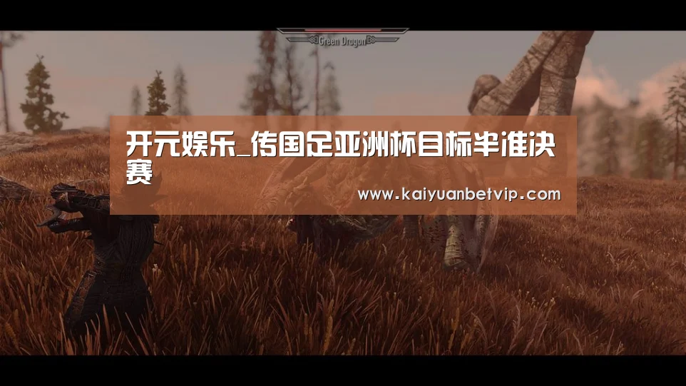 开元娱乐_传国足亚洲杯目标半准决赛(图1) 开元赛事