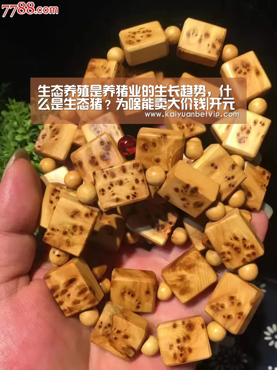 生态养殖是养猪业的生长趋势,什么是生态猪?为啥能卖大价钱|开元娱乐(图2) 开元娱乐