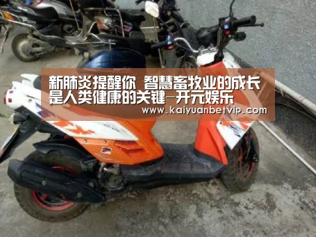 开元百家乐