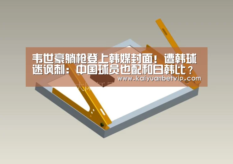 韦世豪躺枪登上韩媒封面!遭韩球迷讽刺:中国球员也配和日韩比?【开元赛事】(图4) 开元百家乐