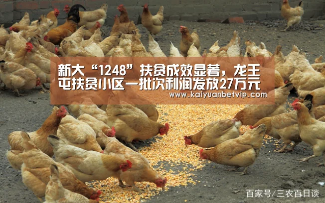 新大“1248”扶贫成效显著,龙王屯扶贫小区一批次利润发放27万元【开元赛事】(图2) 开元百家乐