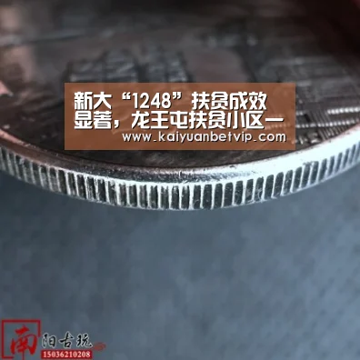新大“1248”扶贫成效显著,龙王屯扶贫小区一批次利润发放27万元【开元赛事】(图1) 开元赛事